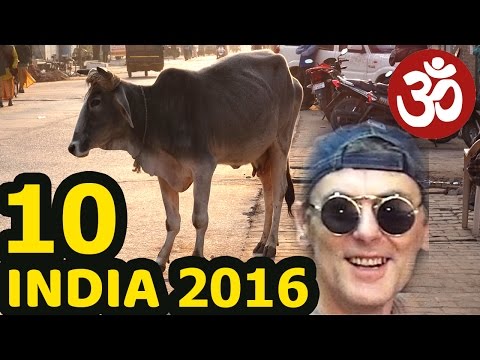 Видео: INDIA 10.  Храм ISKCON Krishna Balaram Mandir Ночной Vrindavan  Индийская  кухня