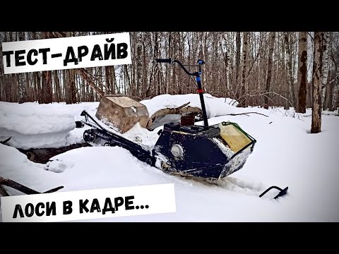 Видео: Самодельный снегоход#Тест драйв по лесу#Лоси в кадре.