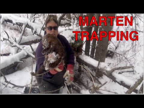 Видео: Дневники канадской траплайн-сети, часть 2