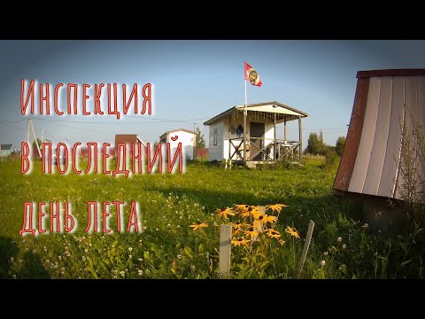 Видео: 31.08.2024 Ревизия огорода в последний день лета.