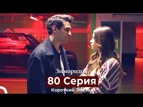 Видео: Зимородок 80 Cерия (Короткий Эпизод) (Русский дубляж)