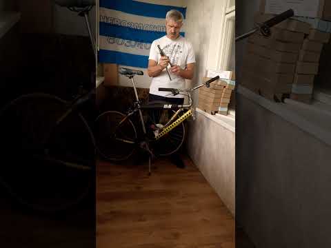 Видео: 31 октября 2025 г.