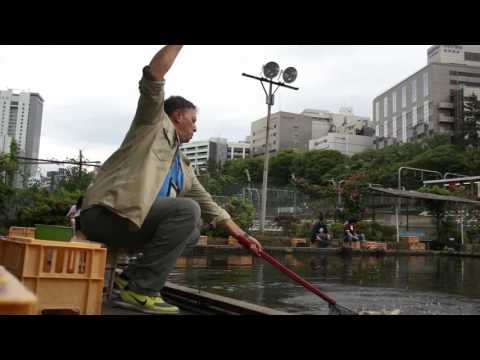 Видео: ХЕРАБУНА-ТОКИО-КАРП....