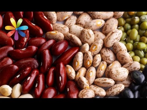 Видео: Похудеть поможет полезная и дешевая фасоль! – Все буде добре. Выпуск 741 от 18.01.16