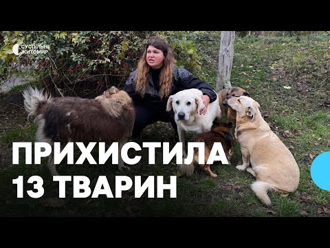 Видео: Катерина Асташова зі Звягеля на Житомирщині прихистила 13 безпритульних тварин