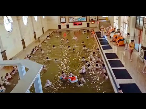 Видео: Наши закарпатские будни. Новые растения в саду. Бассейн "Жаворонок", Берегово.