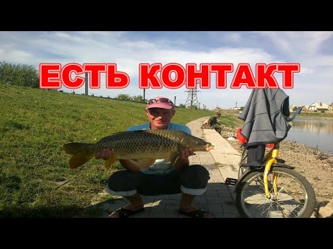 Видео: КУКУРУЗА НА САЗАНА КАК БОНДЮЭЛЬ 4 ВКУСА КОТОРЫЕ ЛОВЯТ