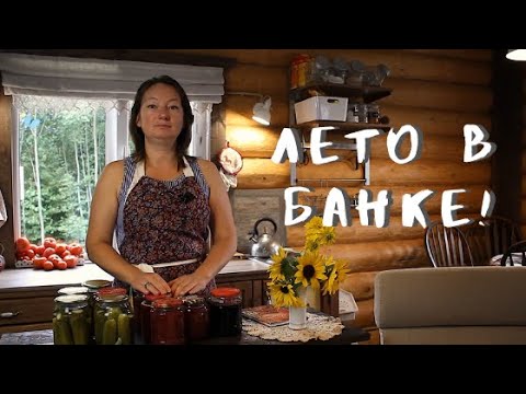 Видео: Лето в банке!