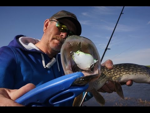 Видео: Константин Кузьмин. Рыбалка в Калмыкии (часть вторая).