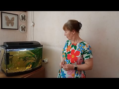 Видео: Ирина Веревкина об улитках ампуляриях