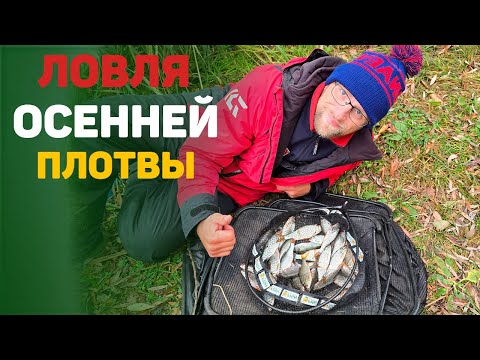 Видео: ловля осенней плотвы