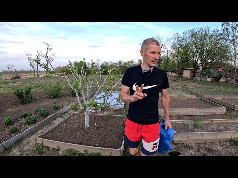 Видео: Два дня жара 30+, но мы идём вперёд!