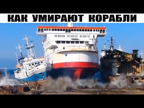 Видео: Огромные Списанные Корабли Выбрасываются на Берег!! Самая Большая Разборка Старых Судов На Пляже