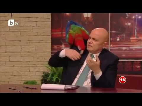 Видео: Шоуто на Слави: Митьо Пищова - Сложил силикон (Краси Радков)