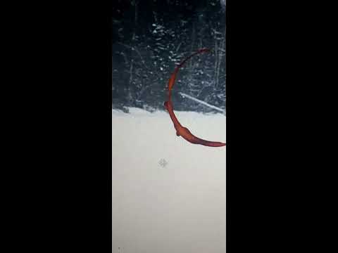 Видео: Перевал Дятлова...Рустем , Зина и Игорь..11,12,13 января...