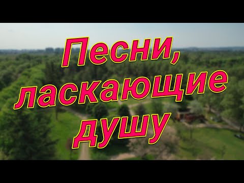 Видео: Заходи и Слушай! Здесь самые Лучшие песни!