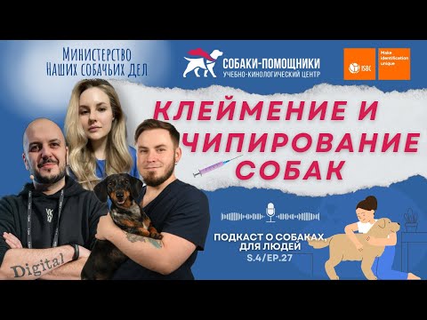 Видео: Зачем животным устанавливают чипы? Кто и для чего наносит клеймо? Ветрвач и компания ISBC