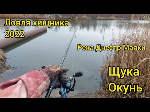 Видео: Ловля хищника 2022. Рыбалка на реке Днестр Маяки. Щука/Окунь.🐟🐟🐟