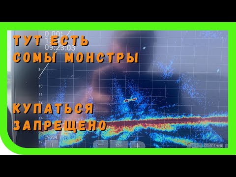 Видео: Волхов, огромные сомы 2м+ , но есть нюанс