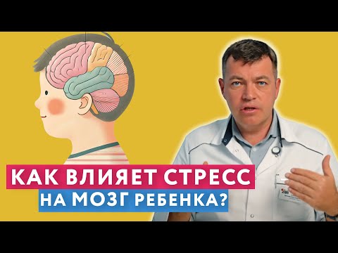 Видео: Влияет ли стресс на развитие мозга ребенка?