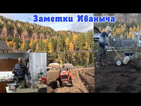 Видео: Осенние работы в огороде. А что у вас на обед?