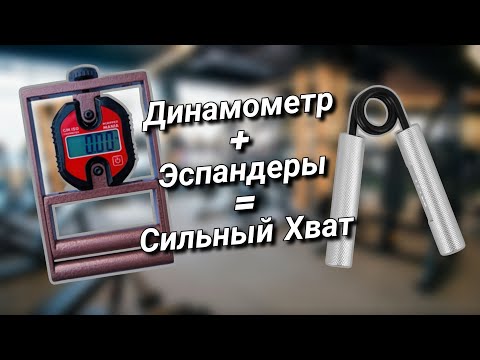 Видео: Динамометр | Эспандеры | Сильный хват