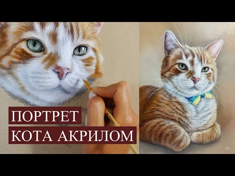 Видео: ПОРТРЕТ КОТА АКРИЛОМ