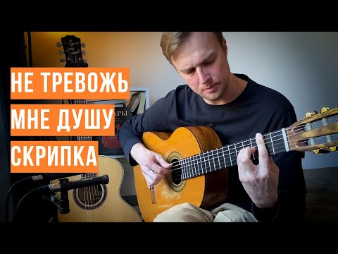 Видео: Не тревожь мне душу скрипка ( Алексей Носов - гитара )