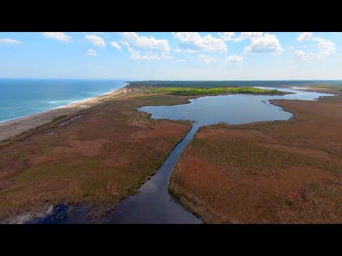 Видео: Шабленското езеро и плажа на Езерец - Shabla lake from Ezerets