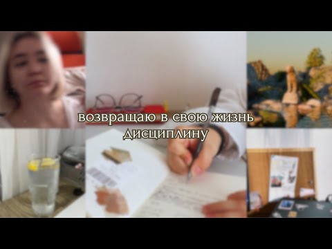 Видео: vlog: дисциплина- это скучно? I мой опыт