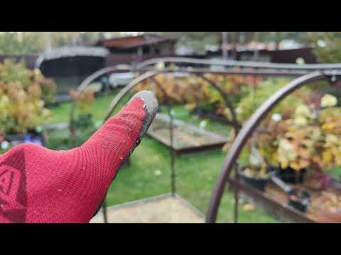 Видео: После небольшого отпуска возвращаюсь к работе. Октябрь 2025