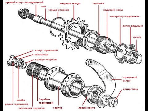Видео: Втулка заднего колеса велосипеда с педальным тормозом,барабанного типа с храповым приводом.