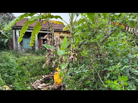 Видео: Восстановление сада Наведите порядок Стричь траву и распилить деревья – это работа без разговоров