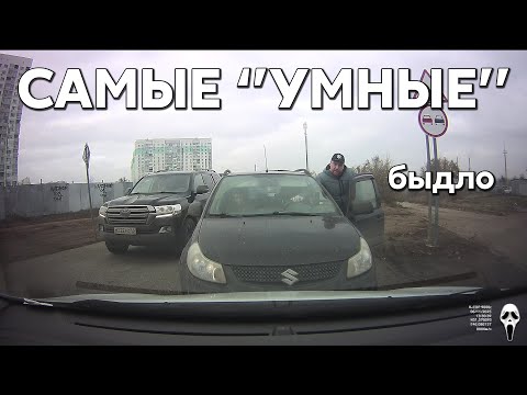 Видео: Подборка САМЫХ "УМНЫХ" водителей #1186