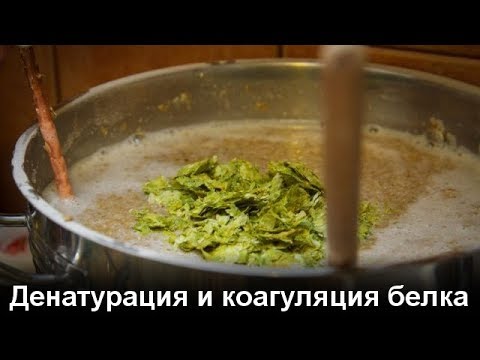 Видео: Денатурация и коагуляция белка