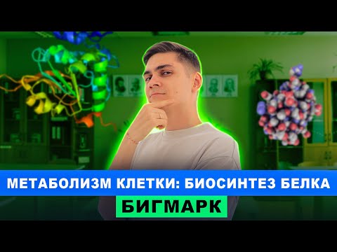 Видео: Метаболизм клетки: Биосинтез белка | Интенсив БигМарк | Марк Ламарк