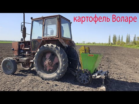 Видео: Посадка картофеля сажалкой Bomet