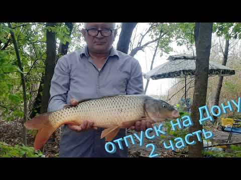 Видео: Рыбалка и отдых на Дону. Отпуск на воде с удочками. Сазаны трофейных размеров. Часть вторая.