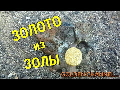 Видео: ЗОЛОТО ИЗ ЗОЛЫ...GOLDEN CHANNEL...