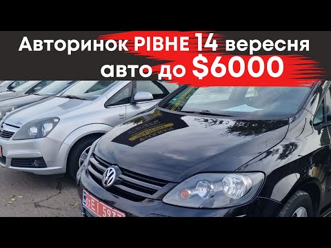 Видео: Бюджетні авто до $6000 на Рівненському авторинку 14 вересня #авторинокрівне