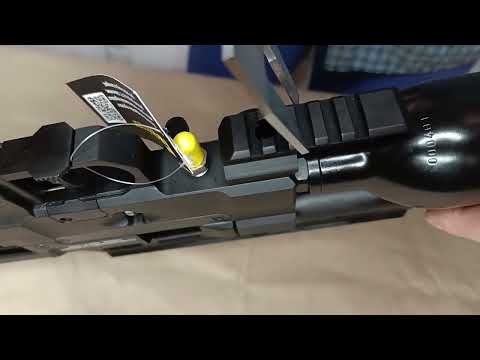 Видео: PCP Reximex Throne Gen2 к.5.5 - Внешний вид