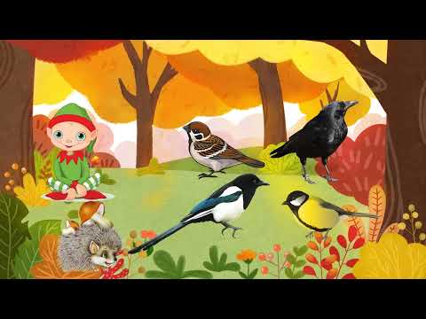 Видео: Перелітні птахи