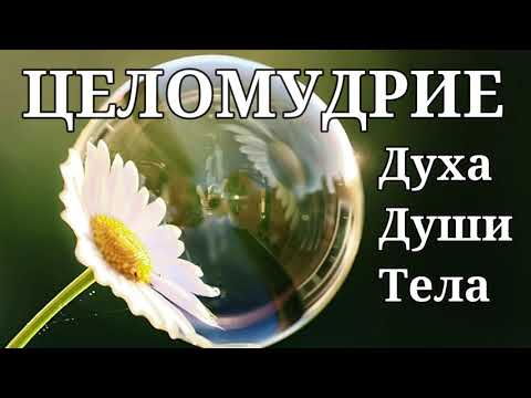 Видео: ЦЕЛОМУДРИЕ ДУХА,ДУШИ,ТЕЛА  Антонюк Н.С.  Беседа для семейных МСЦ ЕХБ