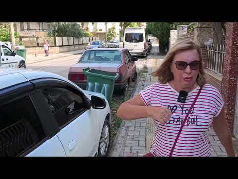 Видео: Экспаты в Аланье быкуют