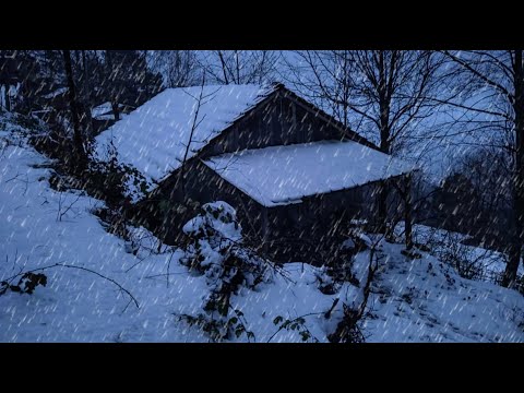 Видео: Лучшее видео 2024 года о сокрытии заброшенной бревенчатой ​​хижины: попал под сильный снегопад