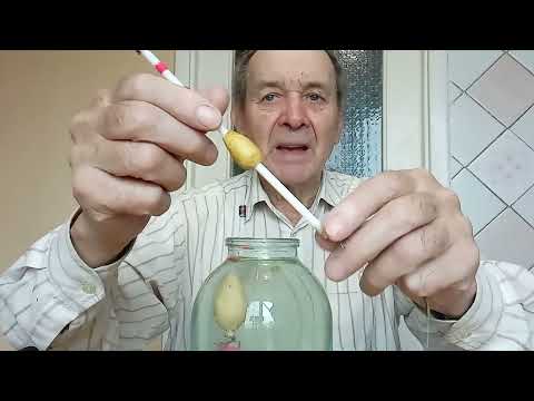 Видео: Универсальный поплавок Куликова, как работает при ловле в полводы. Опыт Куликова.