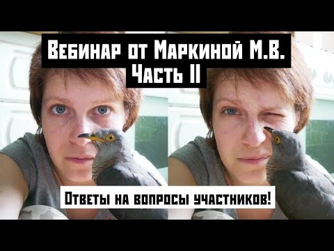 Видео: Вторая часть вебинара О ПТИЦАХ ДЛЯ ВЕТЕРИНАРОВ от Марии Маркиной! Ответы на вопросы участников.