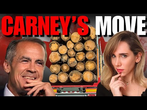 Видео: «Нам не нужен их лес» — гордость Трампа стала ДОРОГОЙ