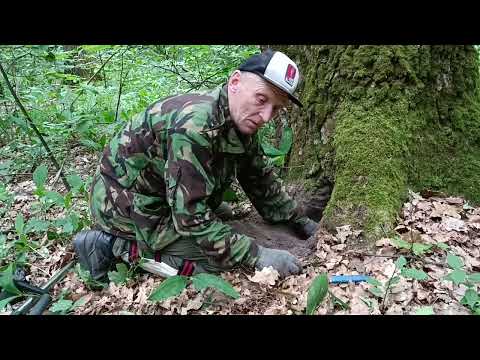 Видео: Лісова хованка купця /The merchant's forest hideout