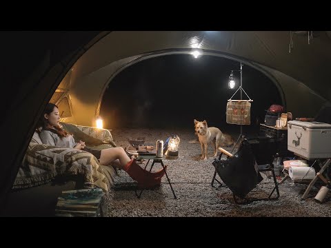 Видео: Пришёл ночной ГОСТЬ!🐶 ОДИНОЧНЫЙ КЕМПИНГ в лесу / Отдых в палатке / походное питание